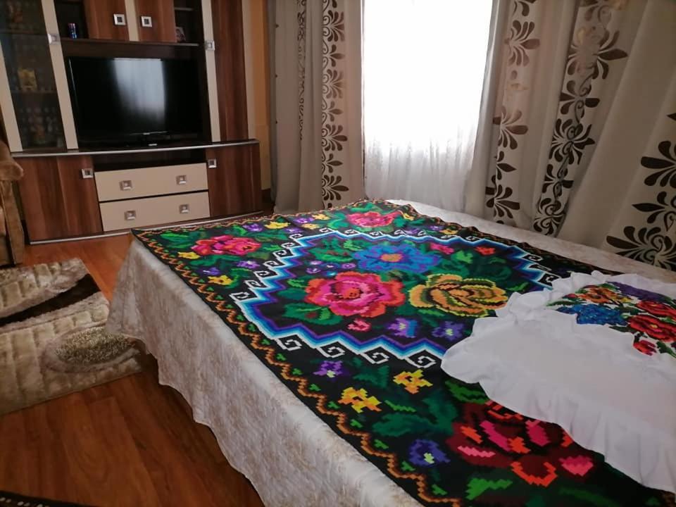 Pensiunea Brezu Máramarossziget Kültér fotó